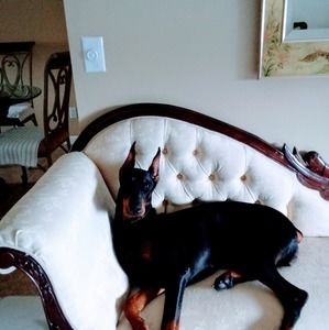 Meet your Posher, Em